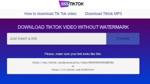 Cara Download Video TikTok Melalui Website SSSTikTok